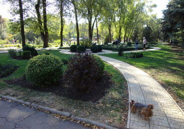Донецк, ботанический сад
